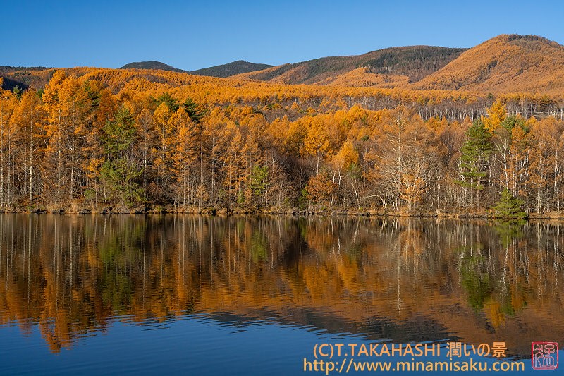 ../Images/7R251108 (77).jpg